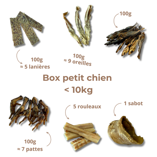 Box de mastication petit chien – Moins de 10 kg