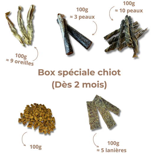 Box de mastication chiot - Dès 2 mois