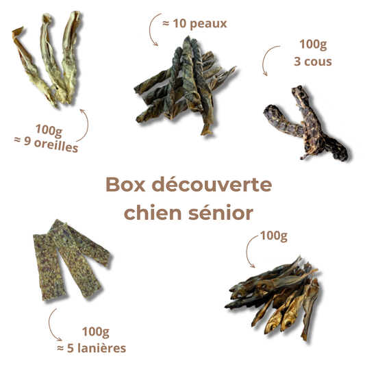 Box de mastication senior