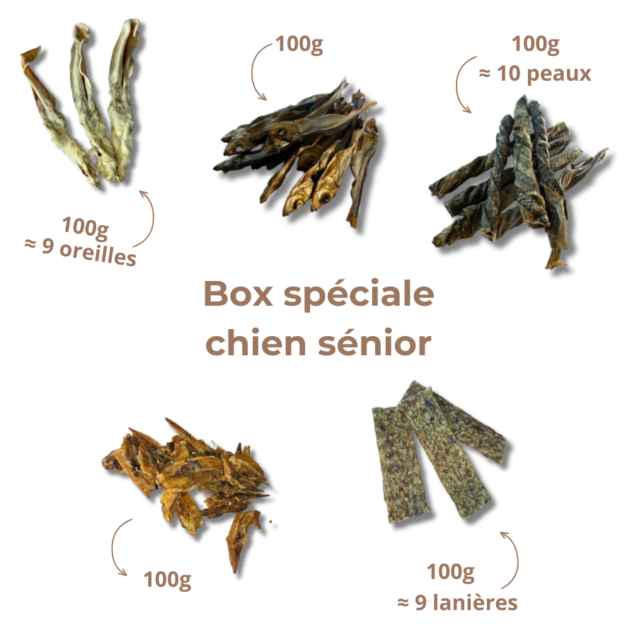 Box Mastications Senior - Pour les Chiens Agés