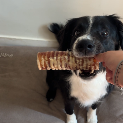 Box de mastication à partager 🐶 & 🐱
