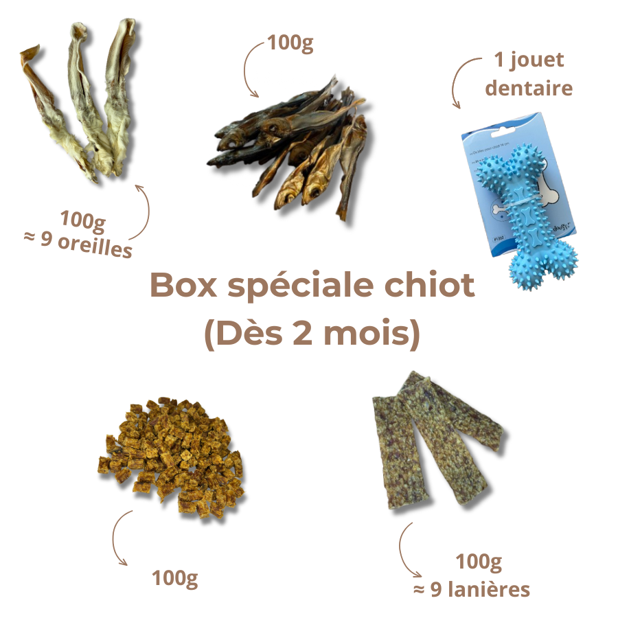 Box de Mastication Spéciale Chiot – Dès 2 Mois