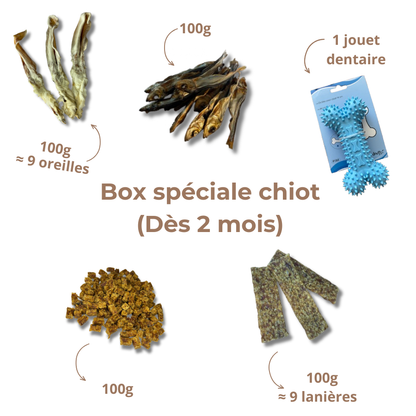 Box de Mastication Spéciale Chiot – Dès 2 Mois
