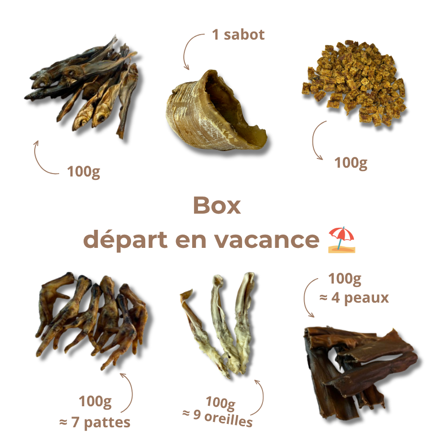 Box départ en vacances 🏖️