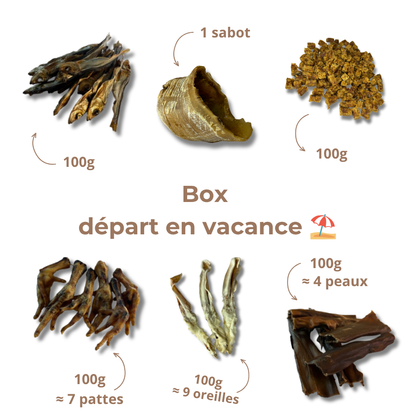 Box départ en vacances 🏖️