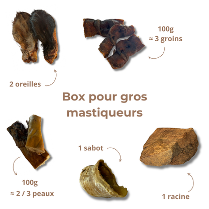 Box de Mastication "Gros Mastiqueur" - Pour les Mâcheurs Acharnés