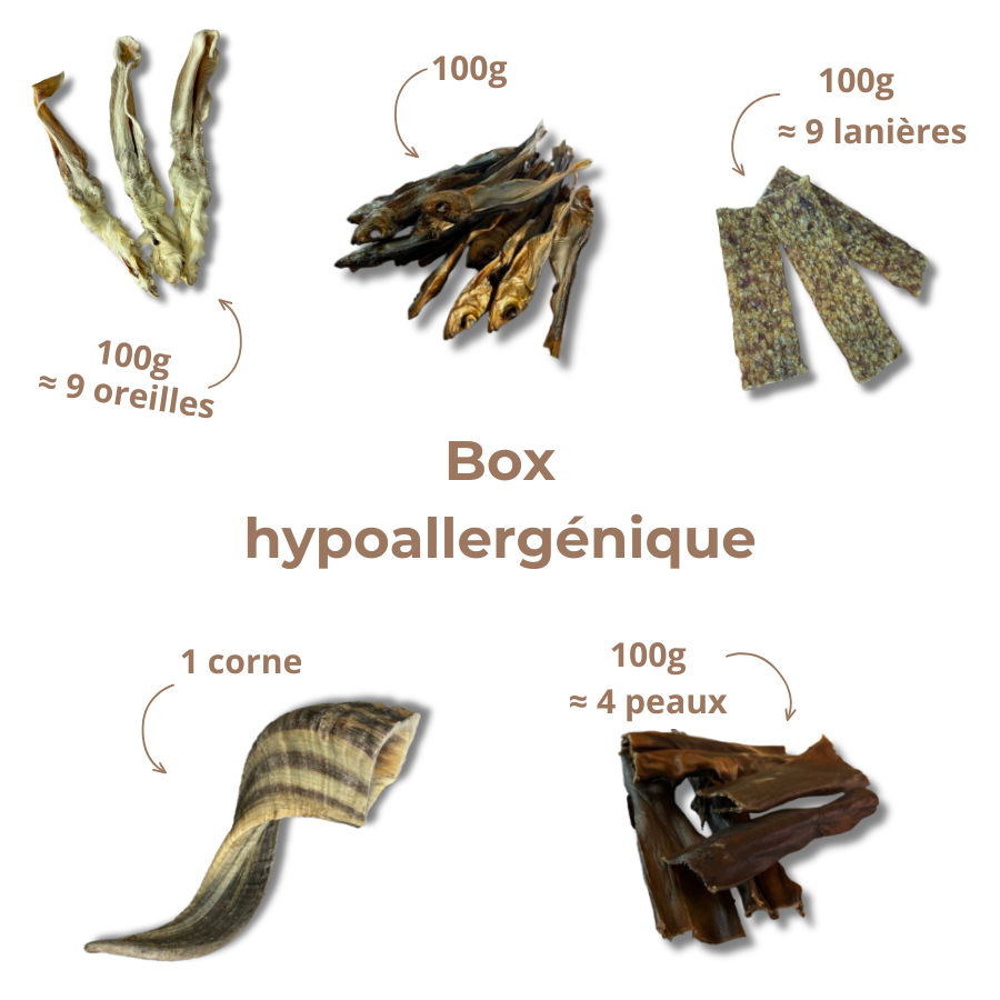 Box Mastication Hypoallergénique pour Chiens