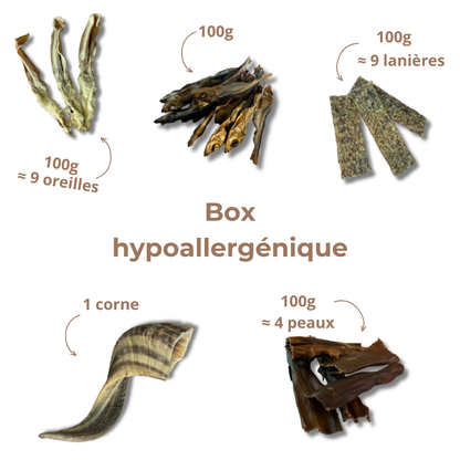 Box Mastication Hypoallergénique pour Chiens